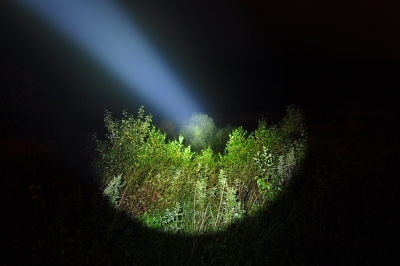 Armytek Barracuda beamshot